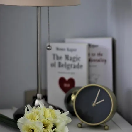 公寓 Skadarlija Free Parking