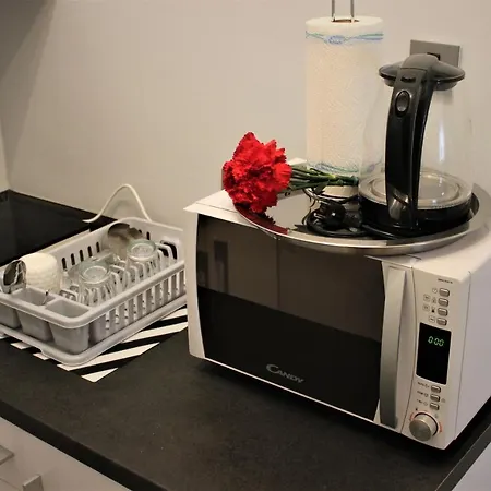 Skadarlija Free Parking 公寓 贝尔格莱德