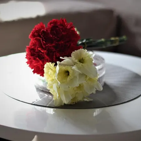 アパート Skadarlija Free Parking